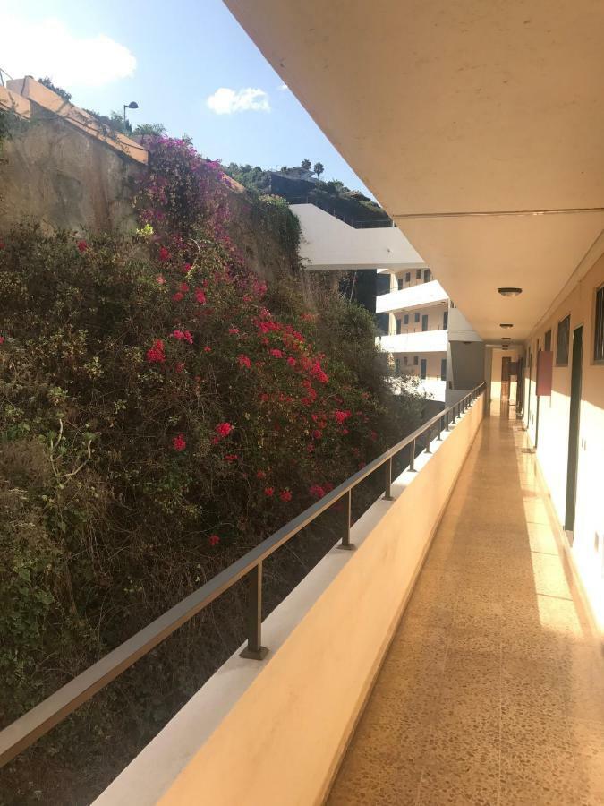 La Matanza De Acentejo Apartamento Privado Frente Al Atlantico 아파트 외부 사진